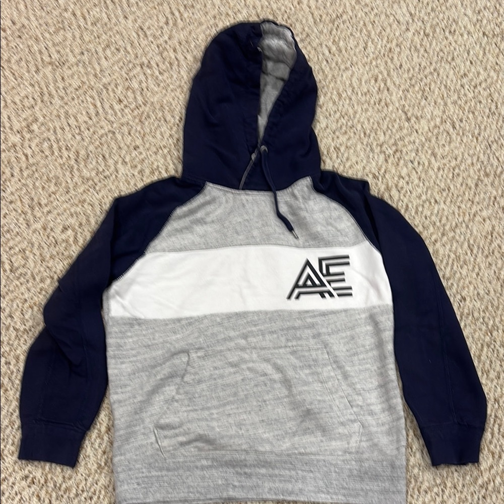 American Eagle Outfitters Blue and Gray Sweater
